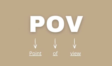 POV meaning in hindi