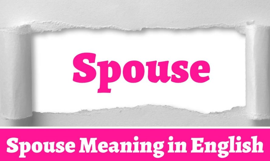 Spouse Meaning: Know About Your Wife’s Real Meaning