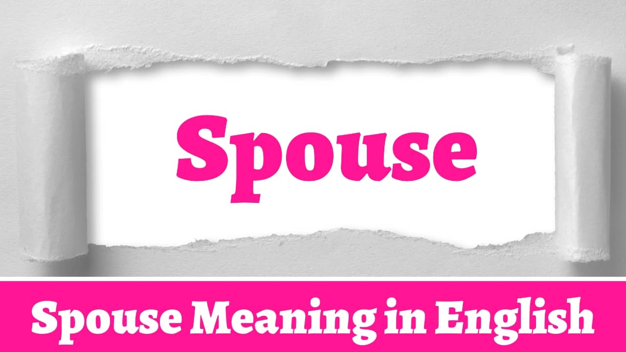 spouse meaning