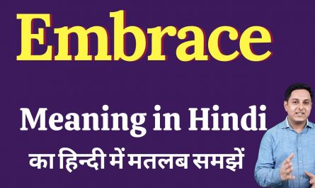 Hindi meaning of embraced