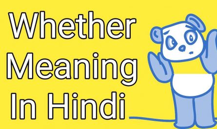 hindi meaning of whether